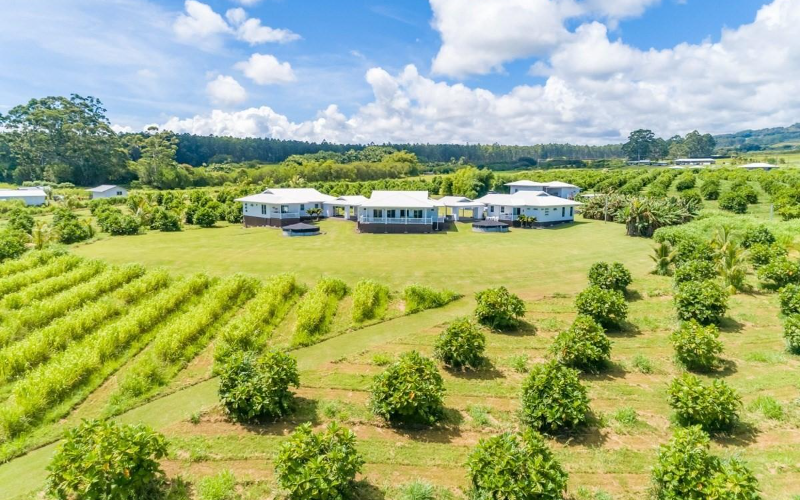20 acre Luxurious Agricultural Compound - Near Akaka Falls